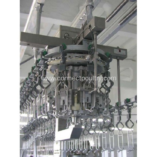 weighing Grading system for poultry processing equipment